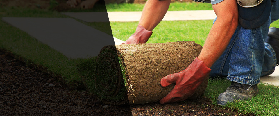 Janesville Landscapers